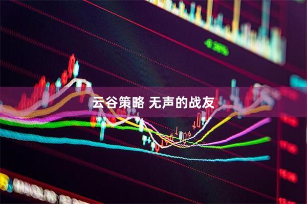 云谷策略 无声的战友